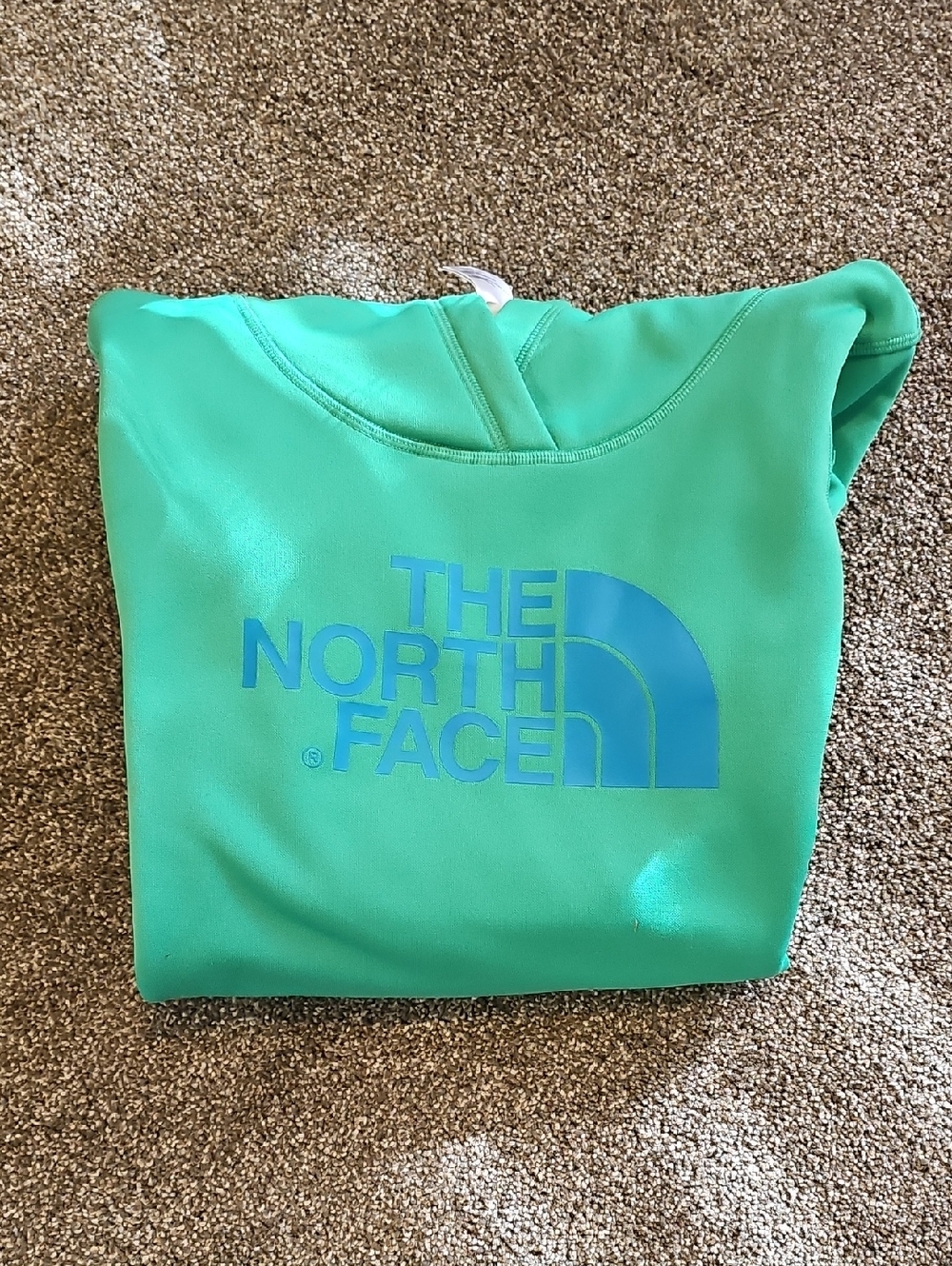 Green North Face Sweatshirt